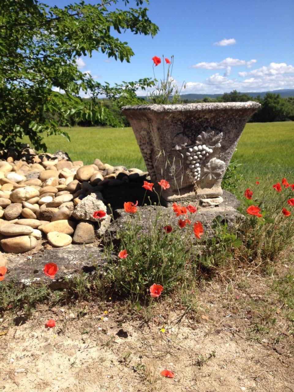 La Salamandre Bleue Βίλα Chantemerle-lès-Grignan Εξωτερικό φωτογραφία